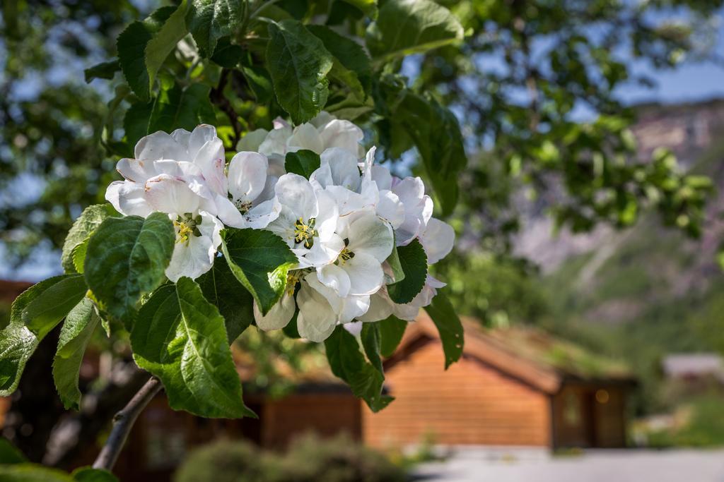 Gaupnetunet Hotell Og Hytter Exteriör bild